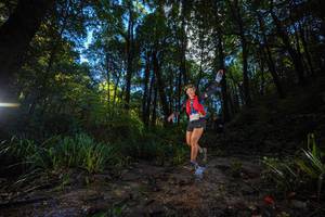 BIB: 
                            <button type="button" onclick="openModal(19233591)" class="btn btn-primary btn-sm float-right btn-popup" data-toggle="modal" data-target=".modal-high-quality">
                        <i class="fas fa-shopping-cart"></i> Add to Cart
                    </button>
                                            <button type="button" onclick="isThisMe(19233591, true)" class="btn btn-success btn-sm float-right btn-popup btn-isme hidden" data-toggle="tooltip" data-placement="bottom" title="นี่คือรูปของคุณใช่ไหม คลิกที่นี่เพื่อเอาเข้าอัลบั้ม">
                        <i class="fas fa-plus"></i> Add to album
                    </button>
                    <button type="button" onclick="isThisMe(19233591, false)" class="btn btn-warning btn-sm float-right btn-popup btn-isnotme hidden">
                        <i class="fas fa-ban"></i> Remove from album
                    </button>